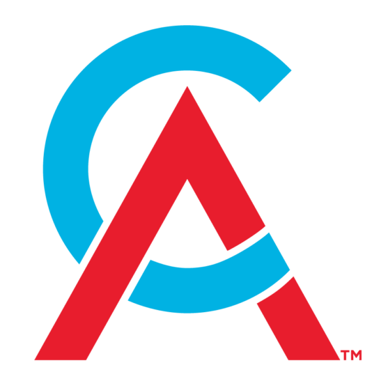 Chartered Accountants Logo